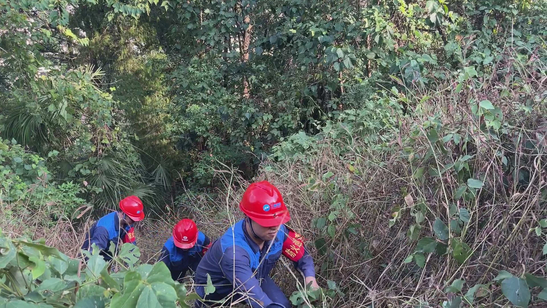 b199c9bfcb5eb4b227aa08d6e62b0e9e.jpeg b199c9bfcb5eb4b227aa08d6e62b0e9e.jpeg